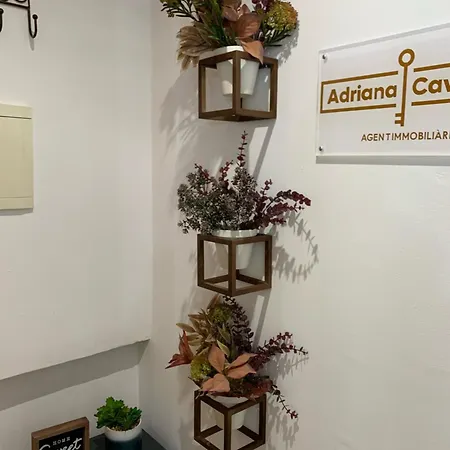 Apartment Anfiteatre Roma